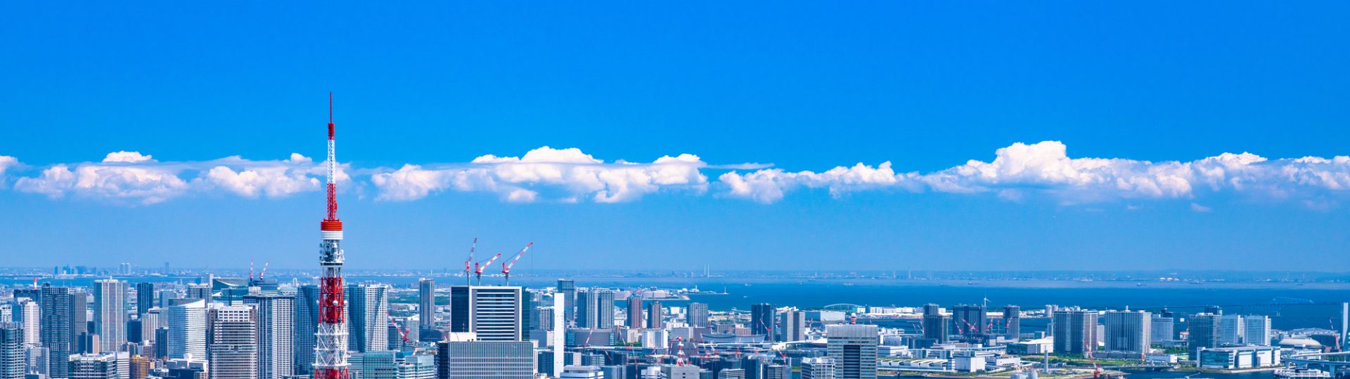 東京に設立